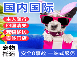 衡阳南岳航空快运国际宠物托运 【国
